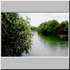 Kastanienbäume an der Isar